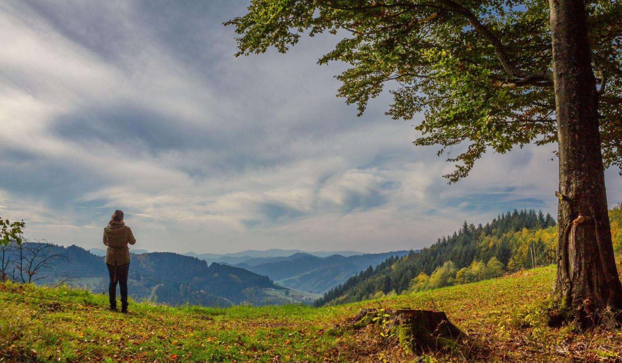 Ferienwohnungen Golla-Lang Oberharmersbach Exterior foto