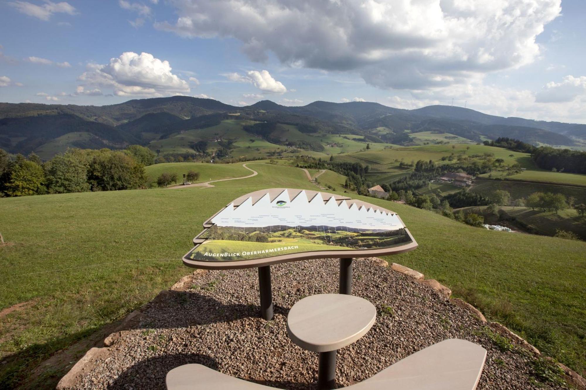 Ferienwohnungen Golla-Lang Oberharmersbach Exterior foto