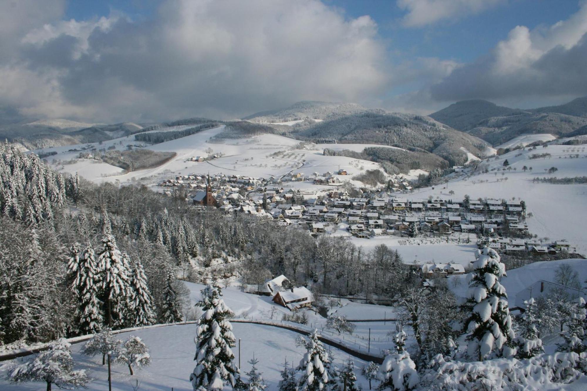 Ferienwohnungen Golla-Lang Oberharmersbach Exterior foto