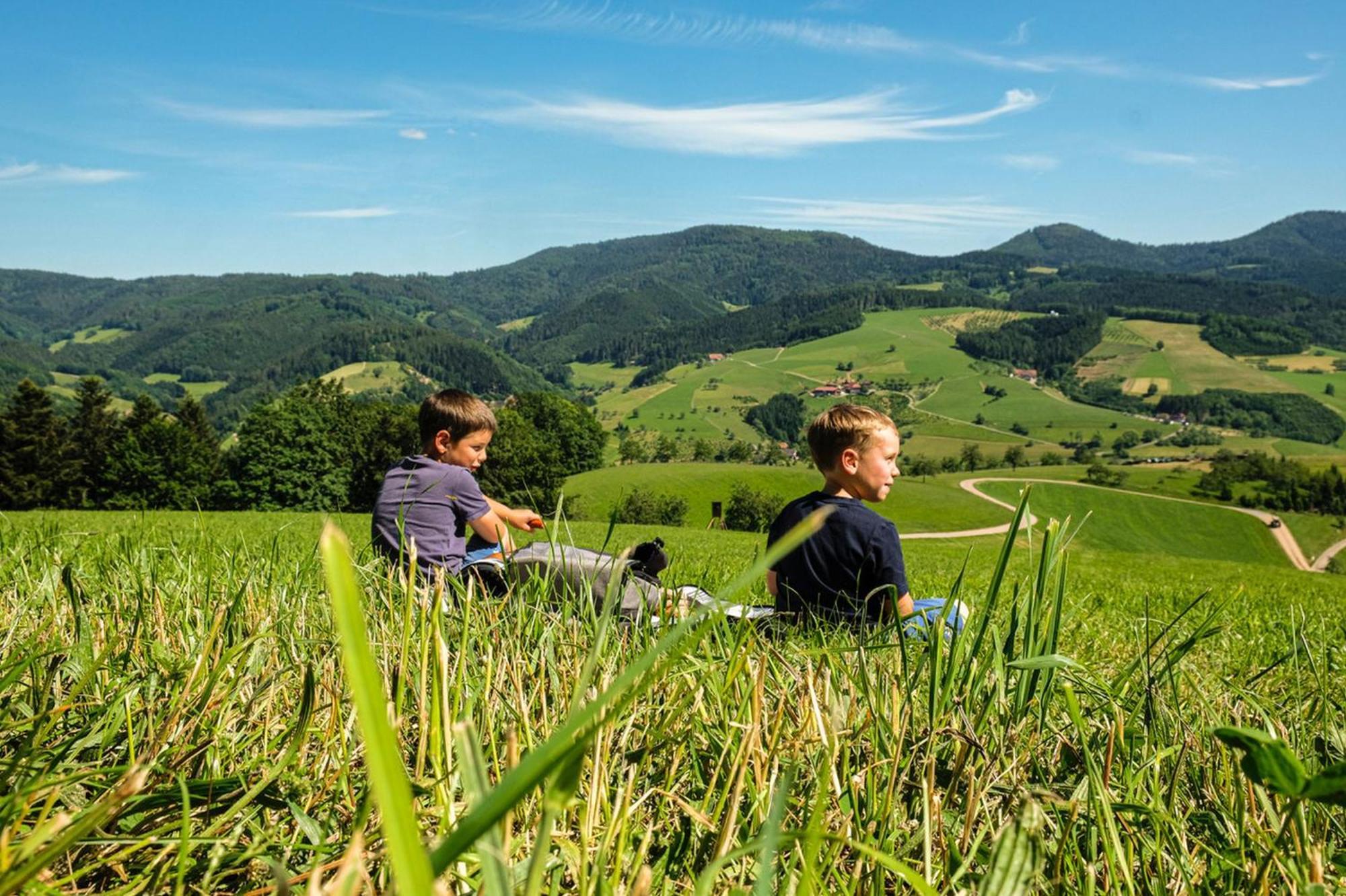 Ferienwohnungen Golla-Lang Oberharmersbach Exterior foto