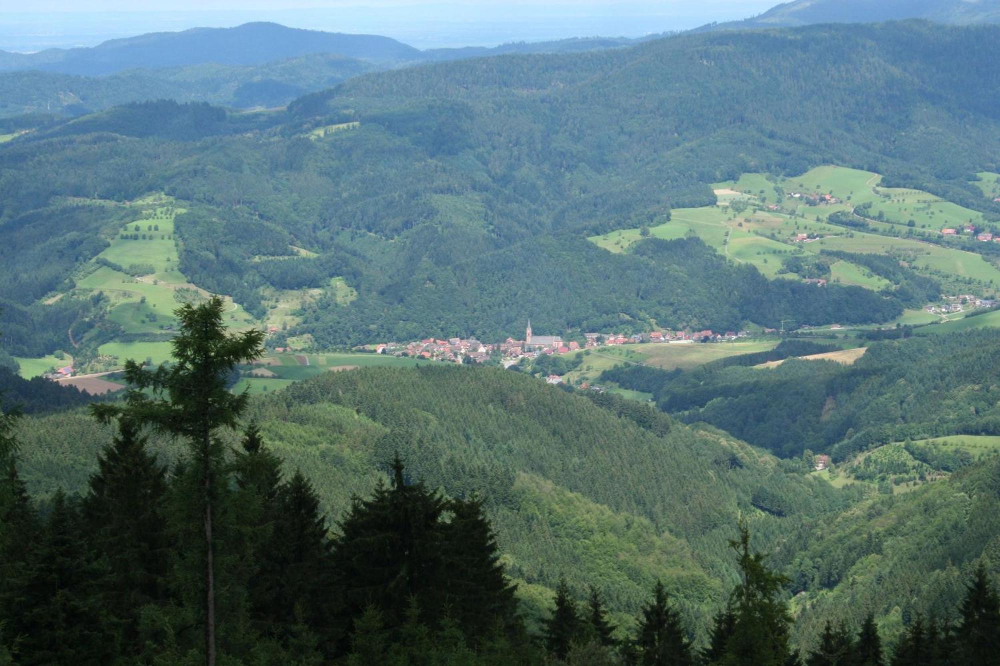 Ferienwohnungen Golla-Lang Oberharmersbach Exterior foto