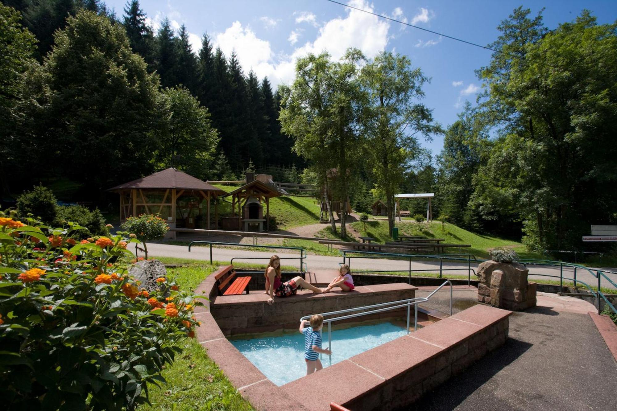 Ferienwohnungen Golla-Lang Oberharmersbach Exterior foto