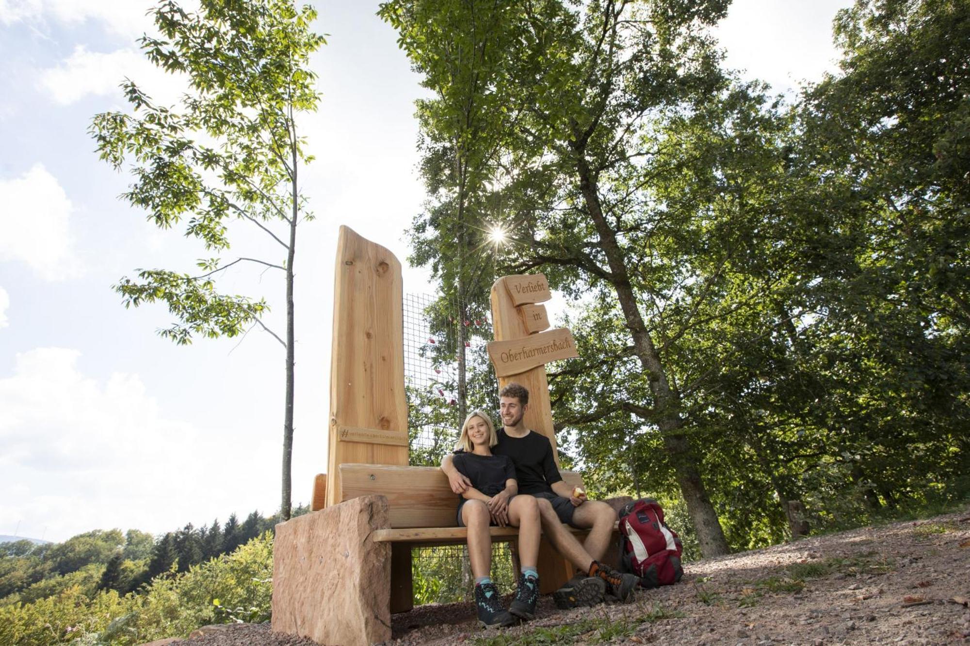 Ferienwohnungen Golla-Lang Oberharmersbach Exterior foto