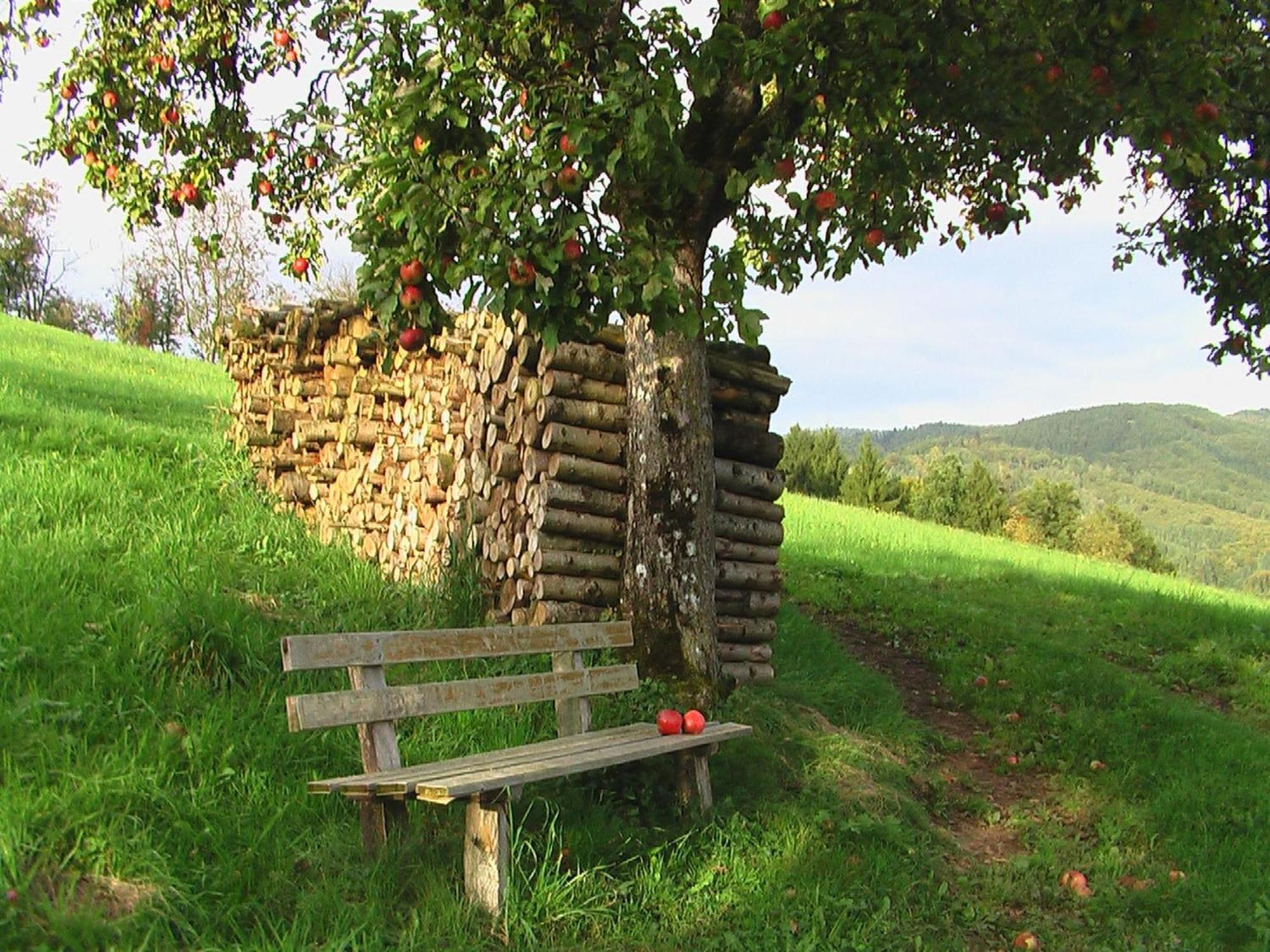 Ferienwohnungen Golla-Lang Oberharmersbach Exterior foto