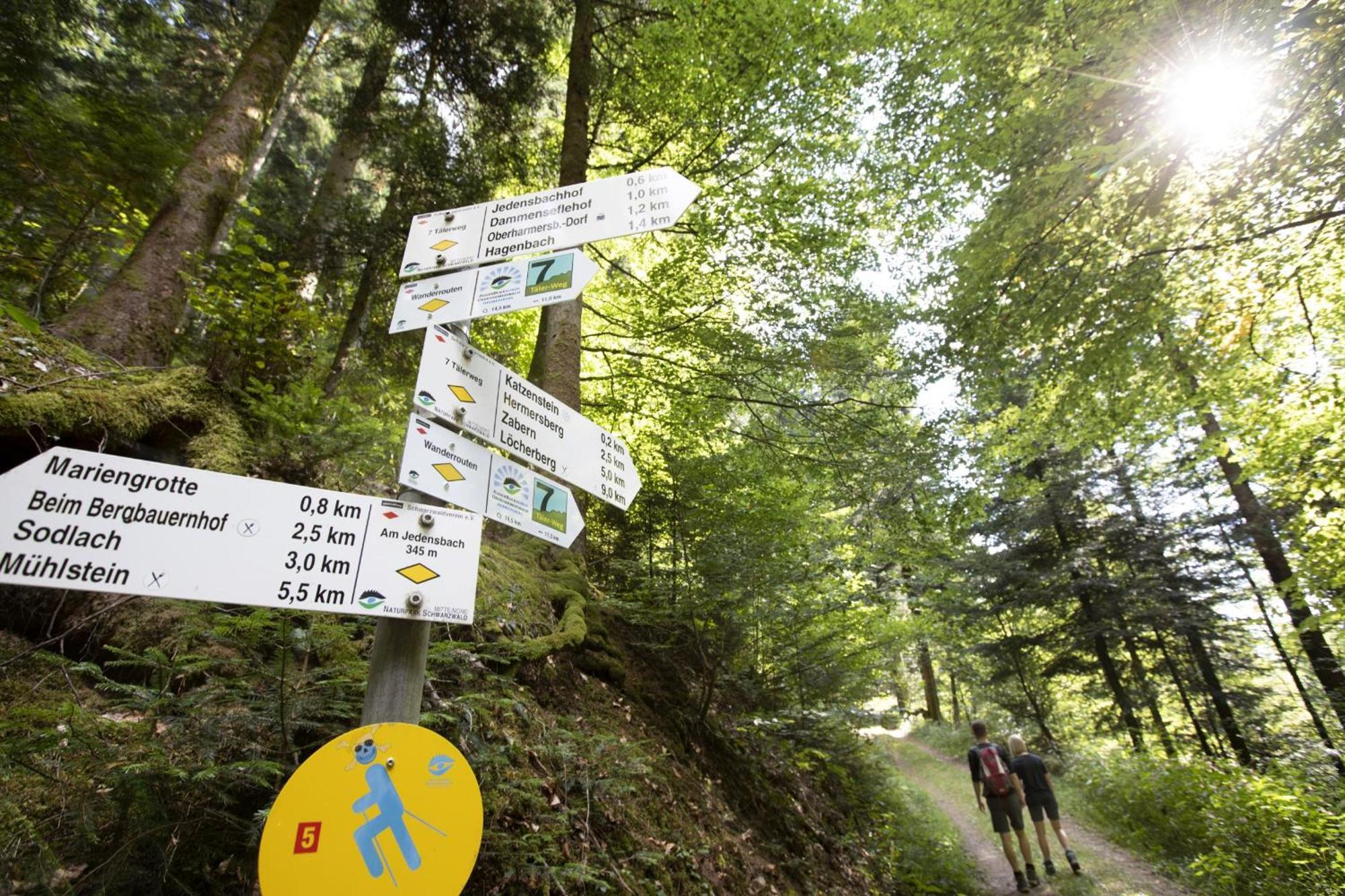 Ferienwohnungen Golla-Lang Oberharmersbach Exterior foto