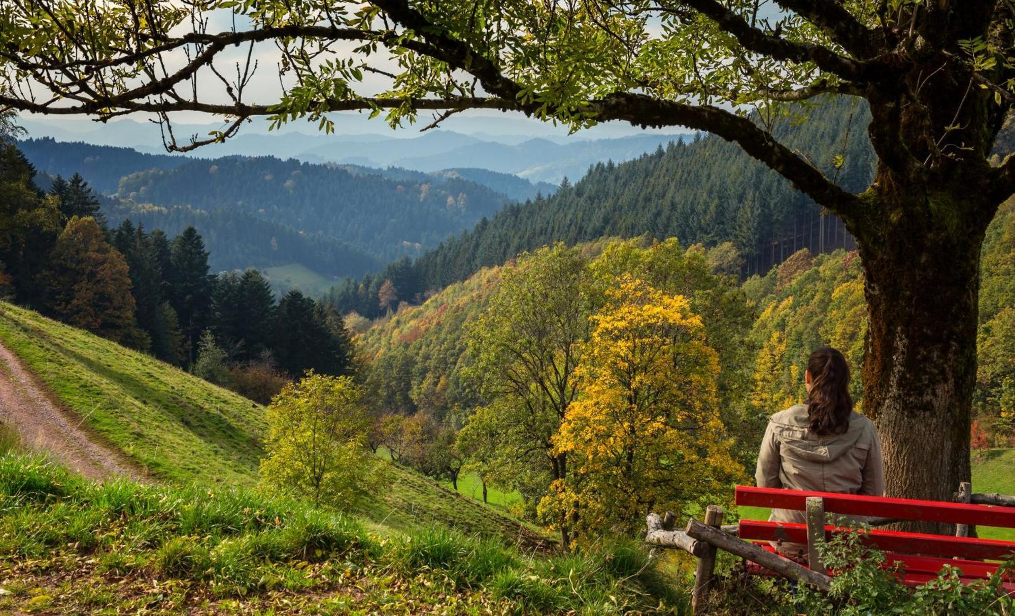 Ferienwohnungen Golla-Lang Oberharmersbach Exterior foto